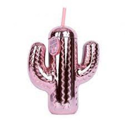 Helio Ferretti Cactus Party Glass  / Water canteen- Food bowls   